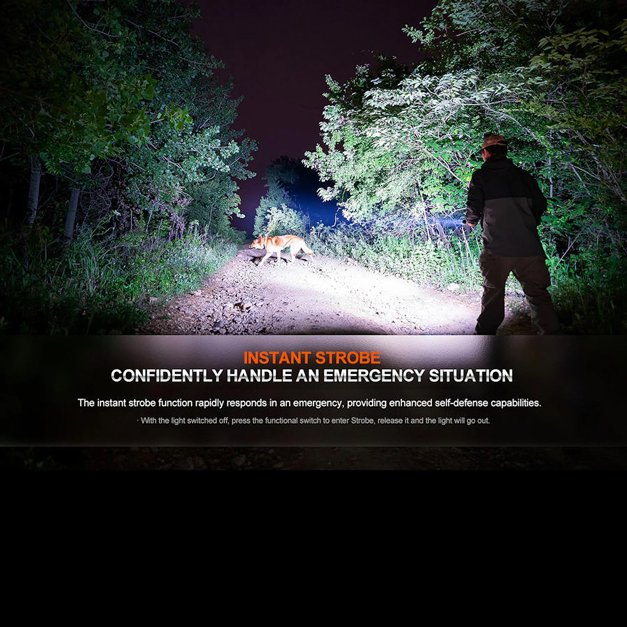 Fenix HT32 Flashlight 1 Fenix HT32 Flashlight