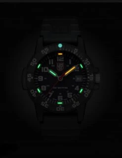 Luminox Leatherback Sea Turtle 0301 12 Luminox Leatherback Sea Turtle 0301 -SurvGear Shop bmc xs0301l 31331.1652437316