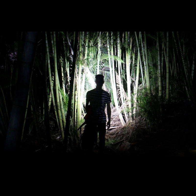 Fenix HL40R 3 Fenix HL40R - Image 3