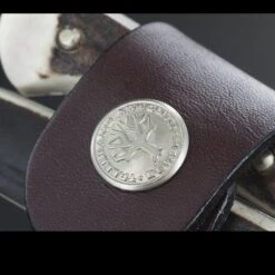 Boker Arbolito Salida Stag Fixed Blade 8 Boker Arbolito Salida Stag Fixed Blade -SurvGear Shop 03ba501hhdet4 60301.1587413265