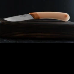 Ontario Chromatics Steak Knife -SurvGear Shop ON3550det2 10084.1625820807