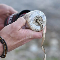 Rapid Rope Canister -SurvGear Shop RRPC6010det5 05809.1640877901