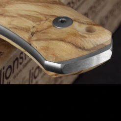 Lion Steel Bushcraft B35 Wood